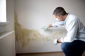 Trusted Wrightsville, GA Mold Removal Experts